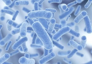 Health Benefits of Probiotics Health Benefits of Probiotics