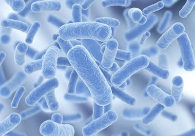 Health Benefits of Probiotics